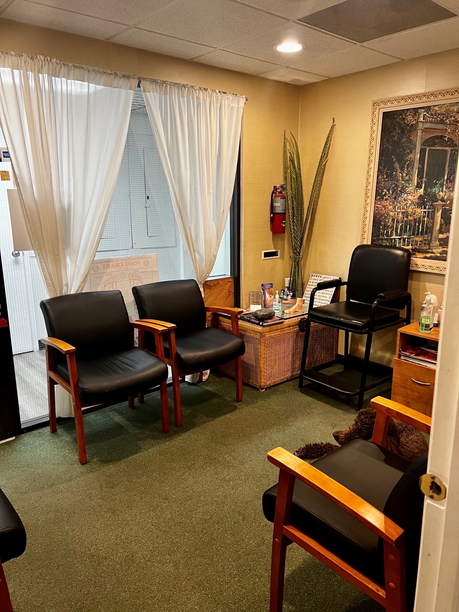 The waiting area at Dr. Martin Grossman, DC - Coral Gables Chiropractic Centre