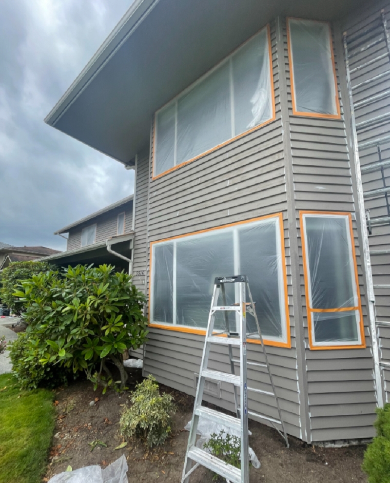 Cover Pro Painting Image