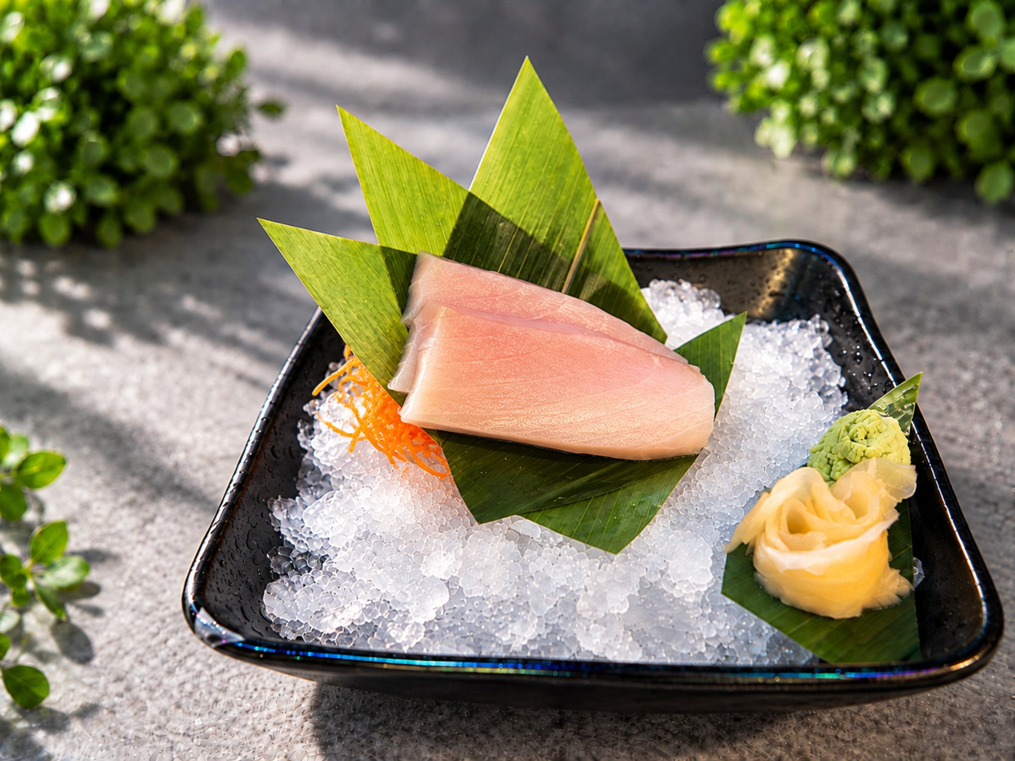White Tuna Sashimi