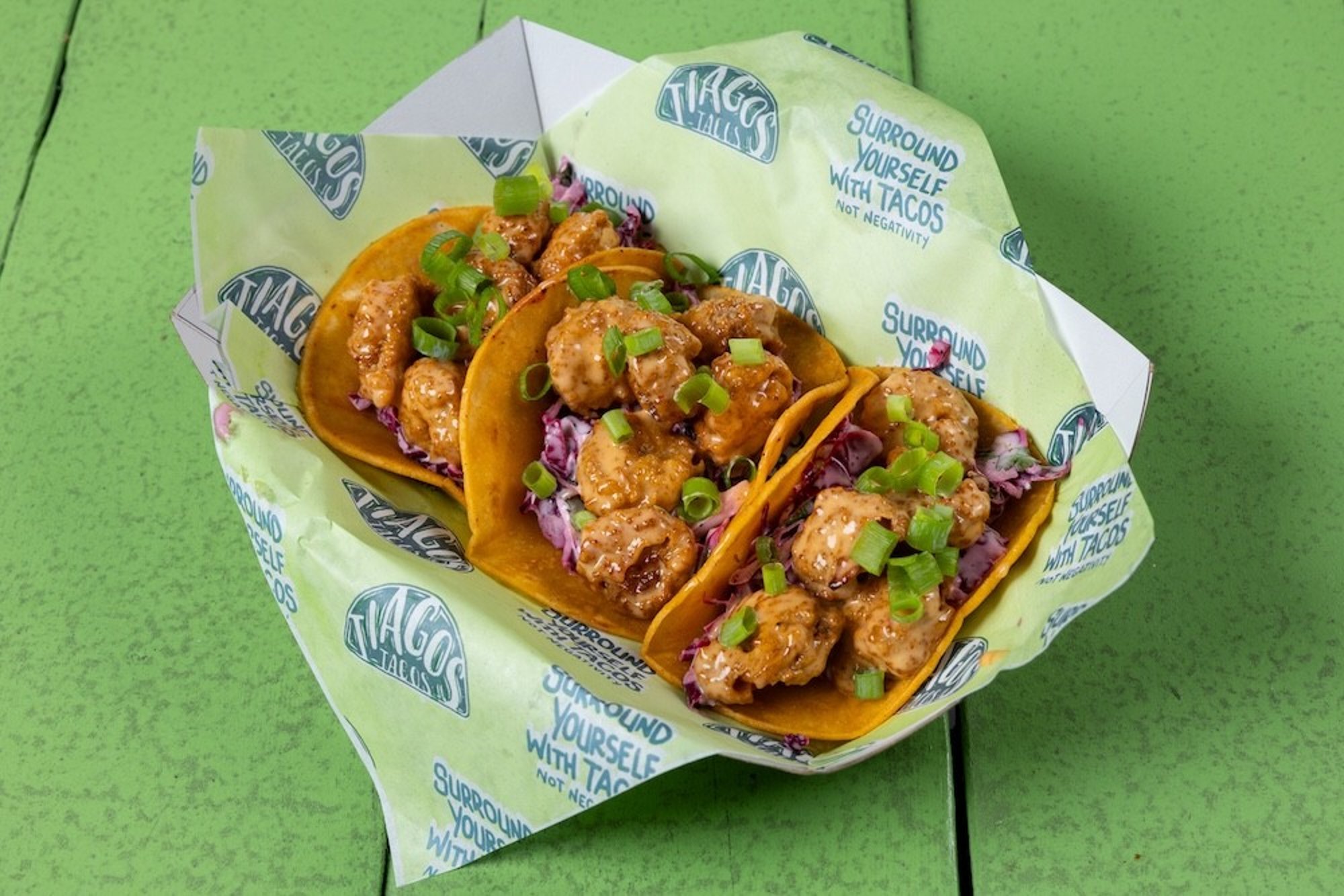 Chalupa Trio