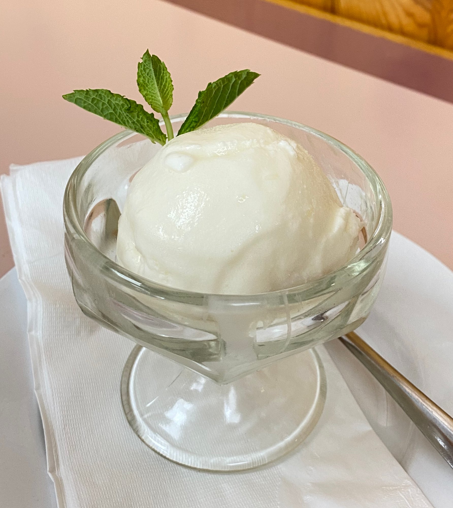 Coconut Ice Cream