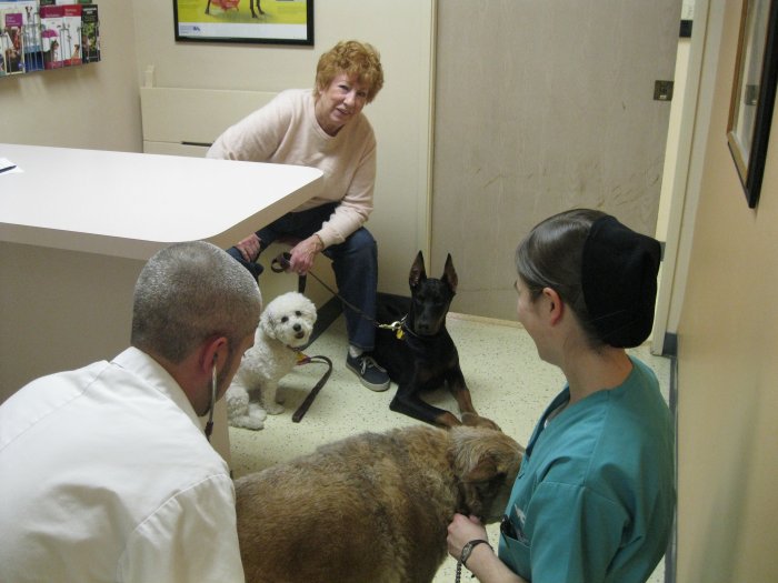 VCA El Mirage Animal Hospital Photo