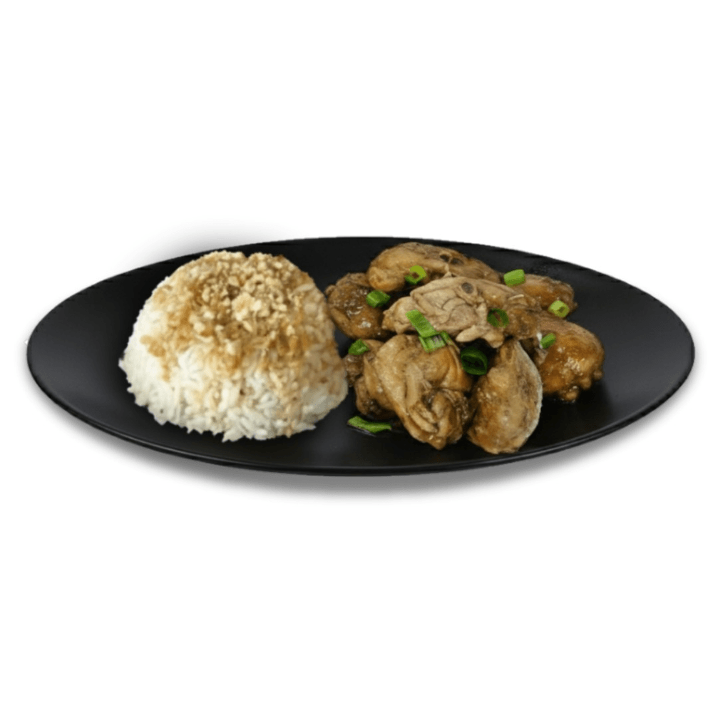 Adobo with Rice