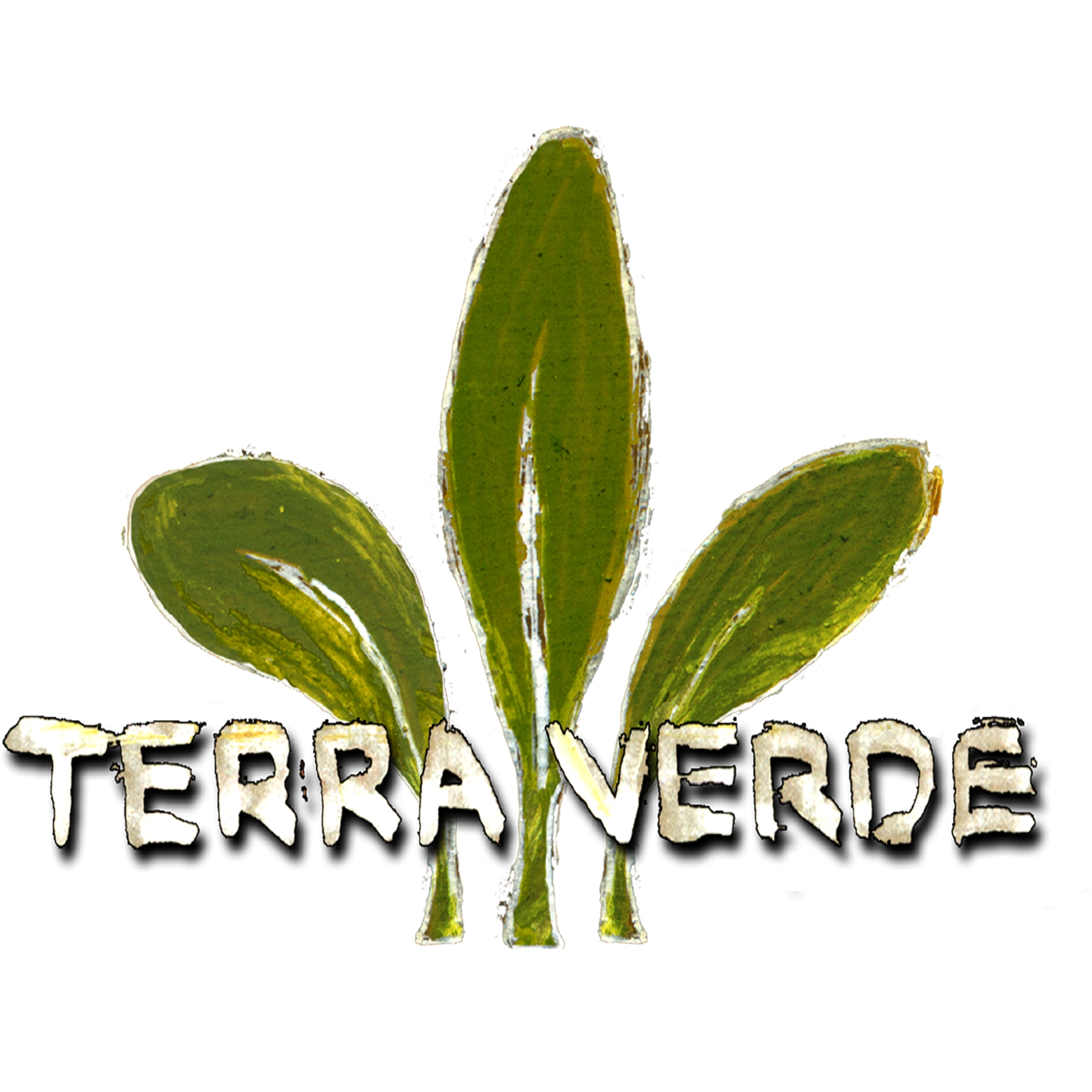 Logo von Terra Verde Gartengestaltung