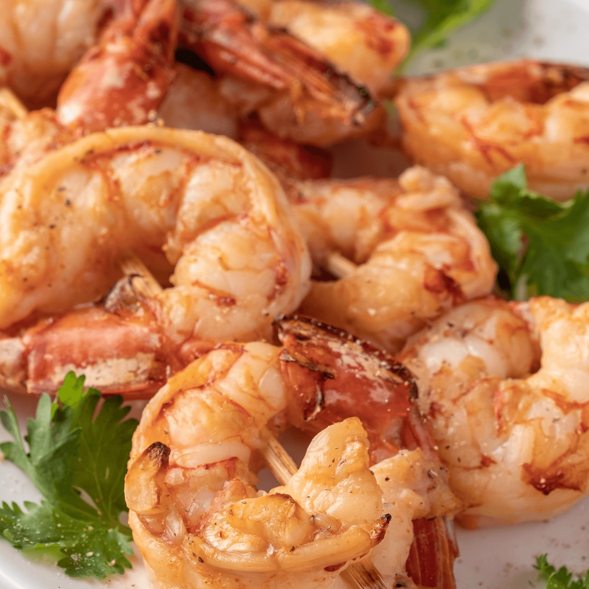 Shrimp (5)