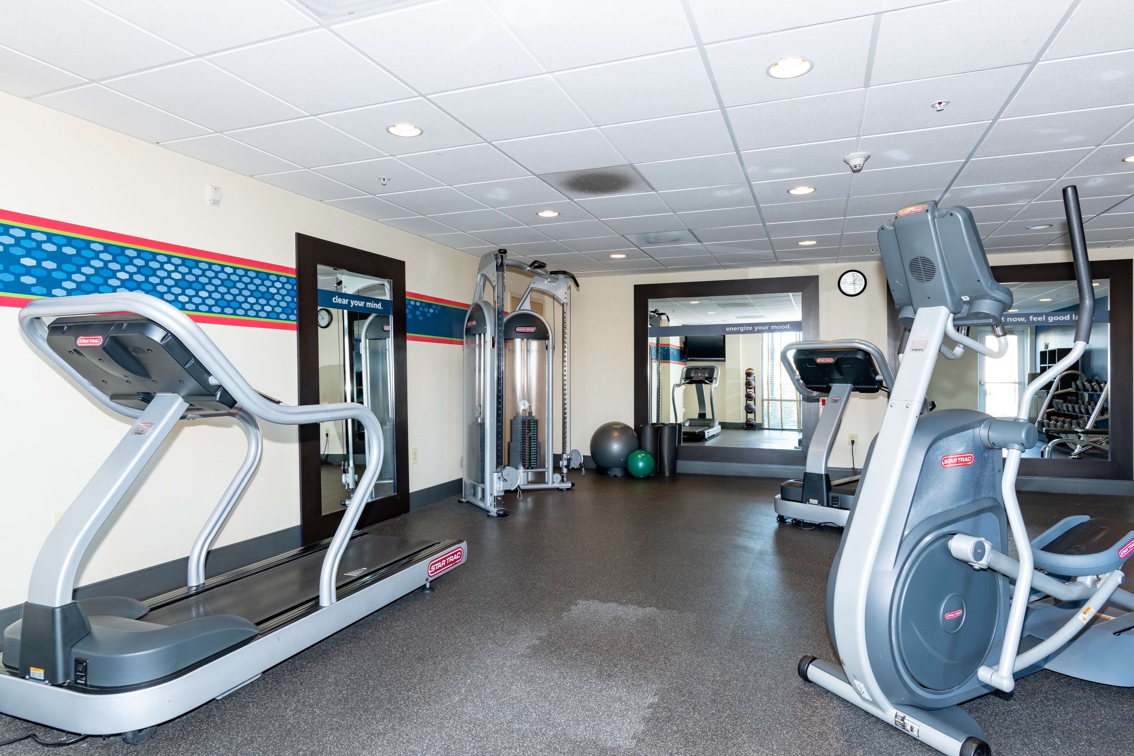 Health club  fitness center  gym