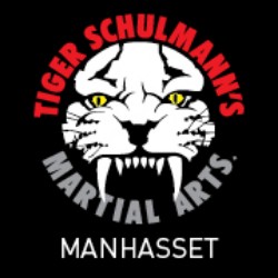 Tiger Schulmann's Martial Arts (Manhasset, NY) Photo