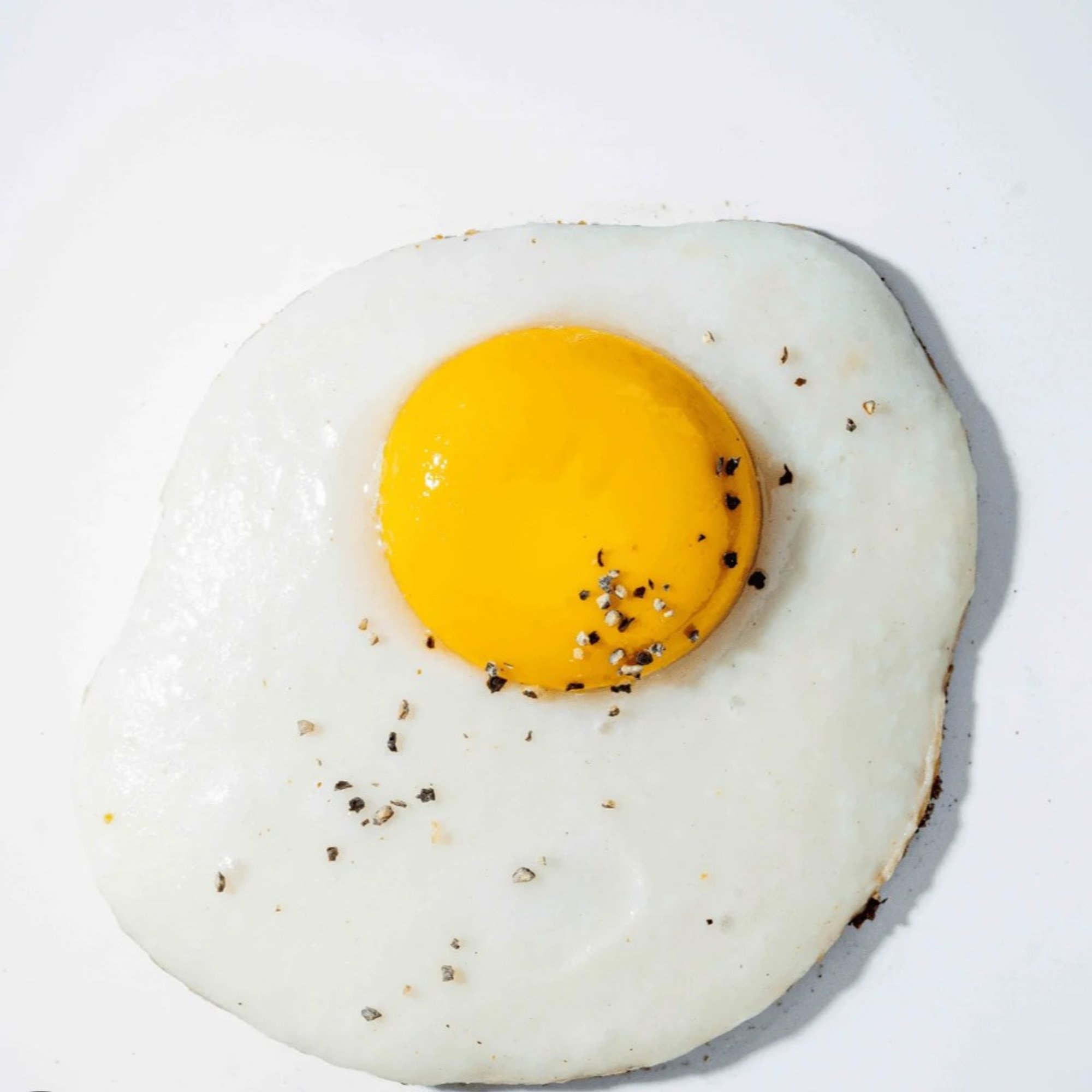Yo Egg!