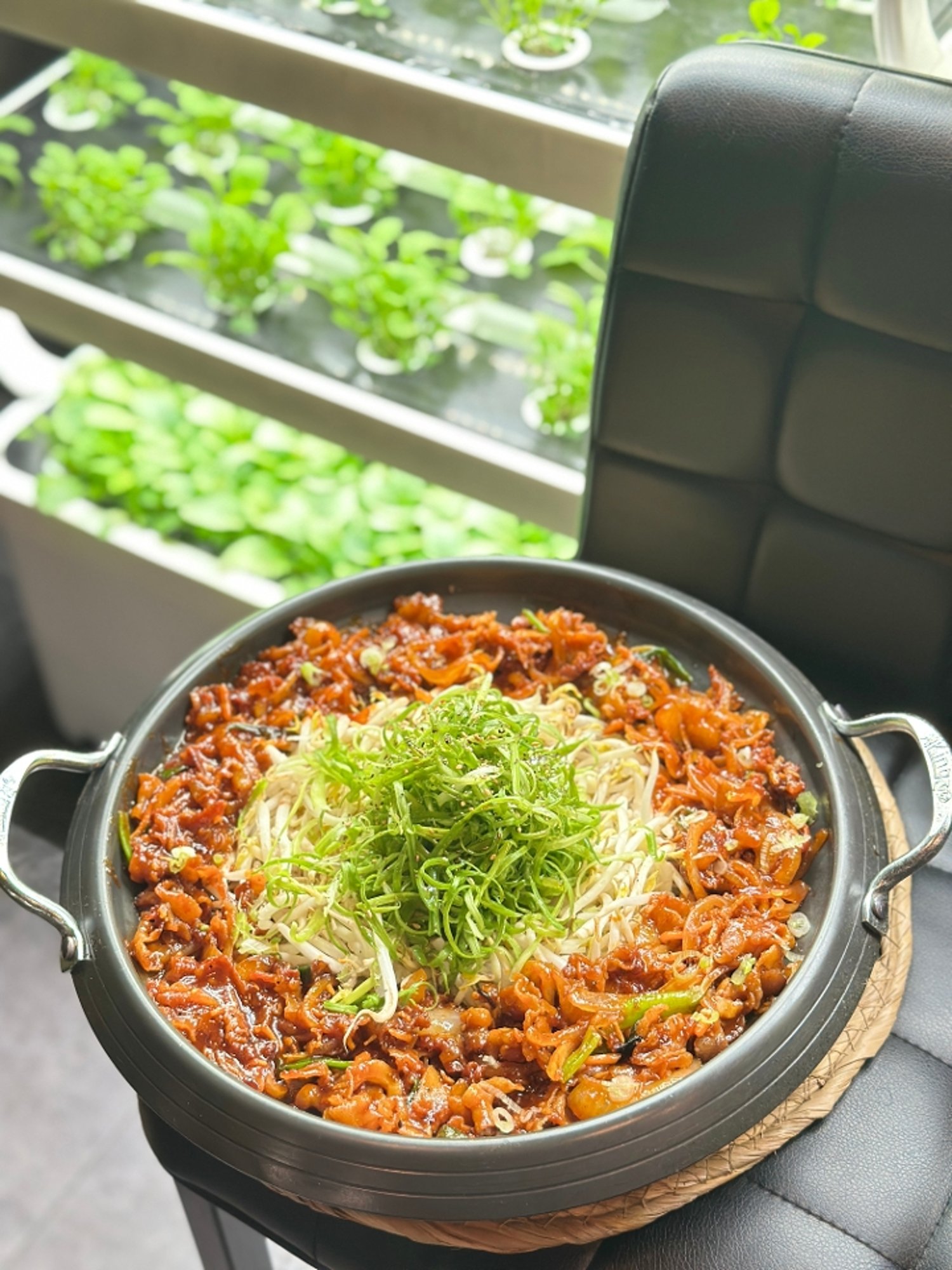 Main Pork & Sprout