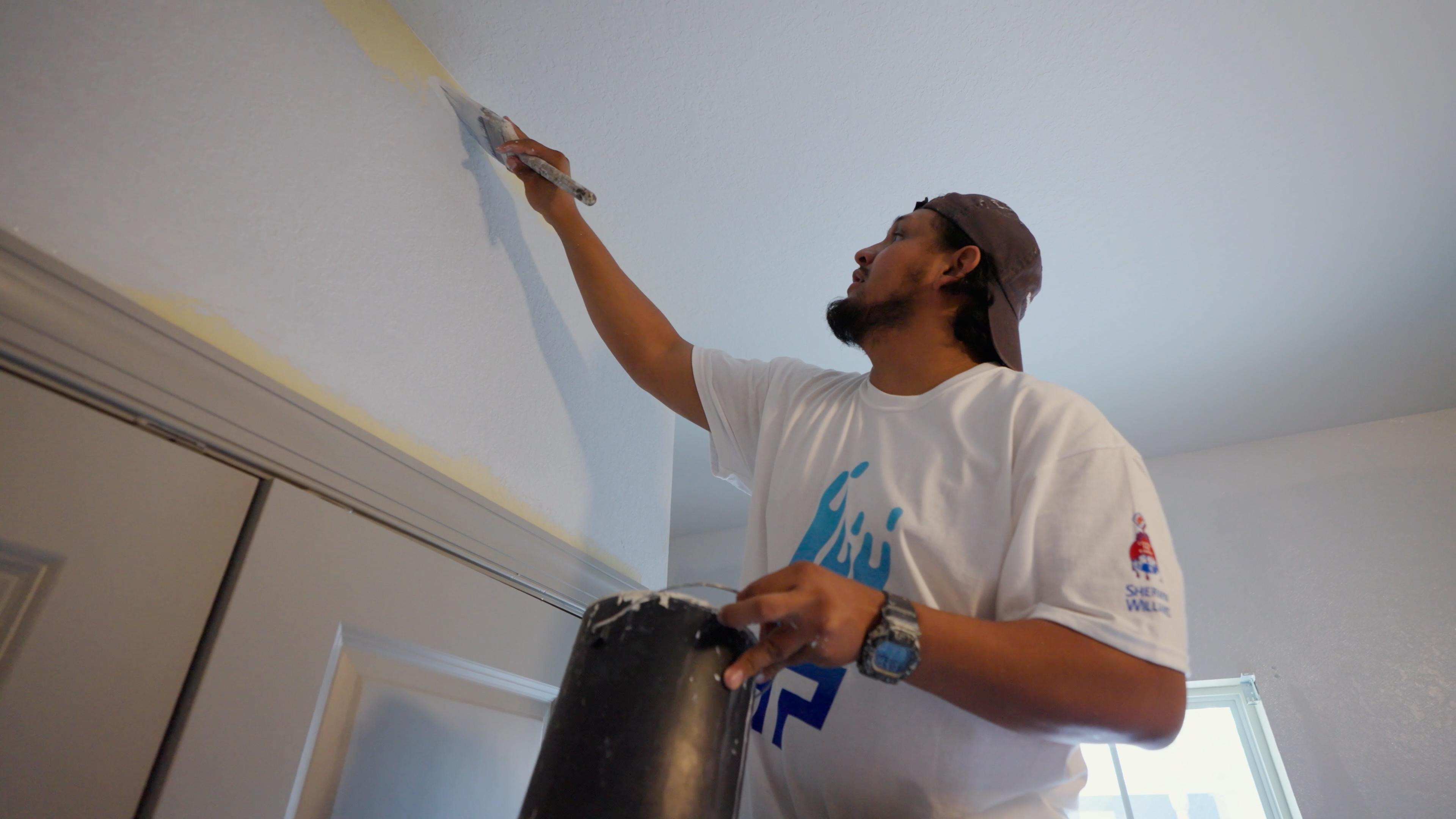 That 1 Painter Loudoun Image