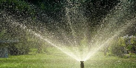 Top 3 Reasons to Install Lawn Irrigation Systems