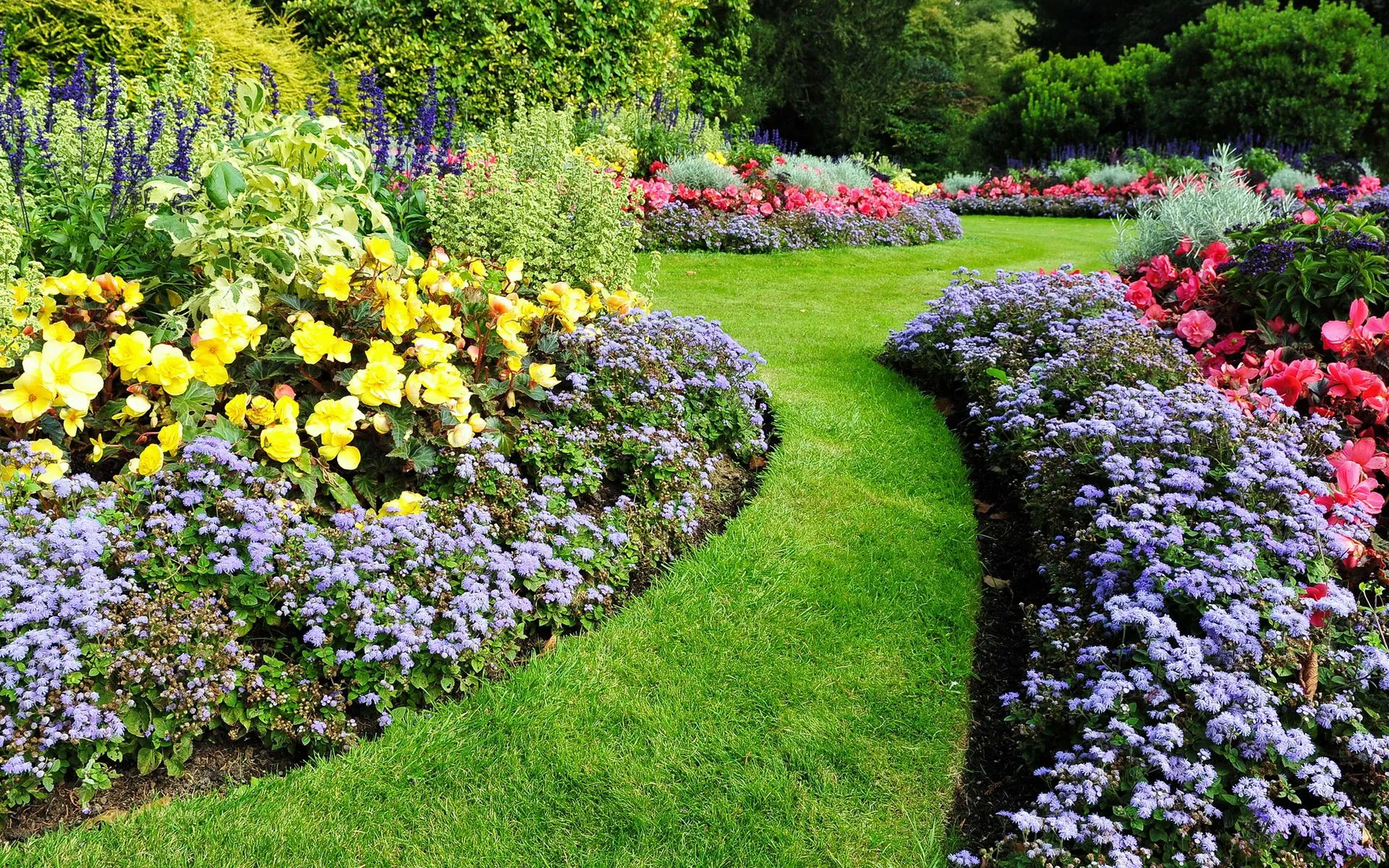 Native Plants