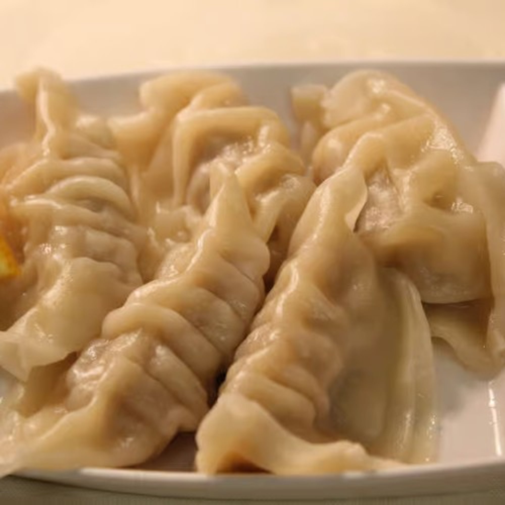 dumpling pork