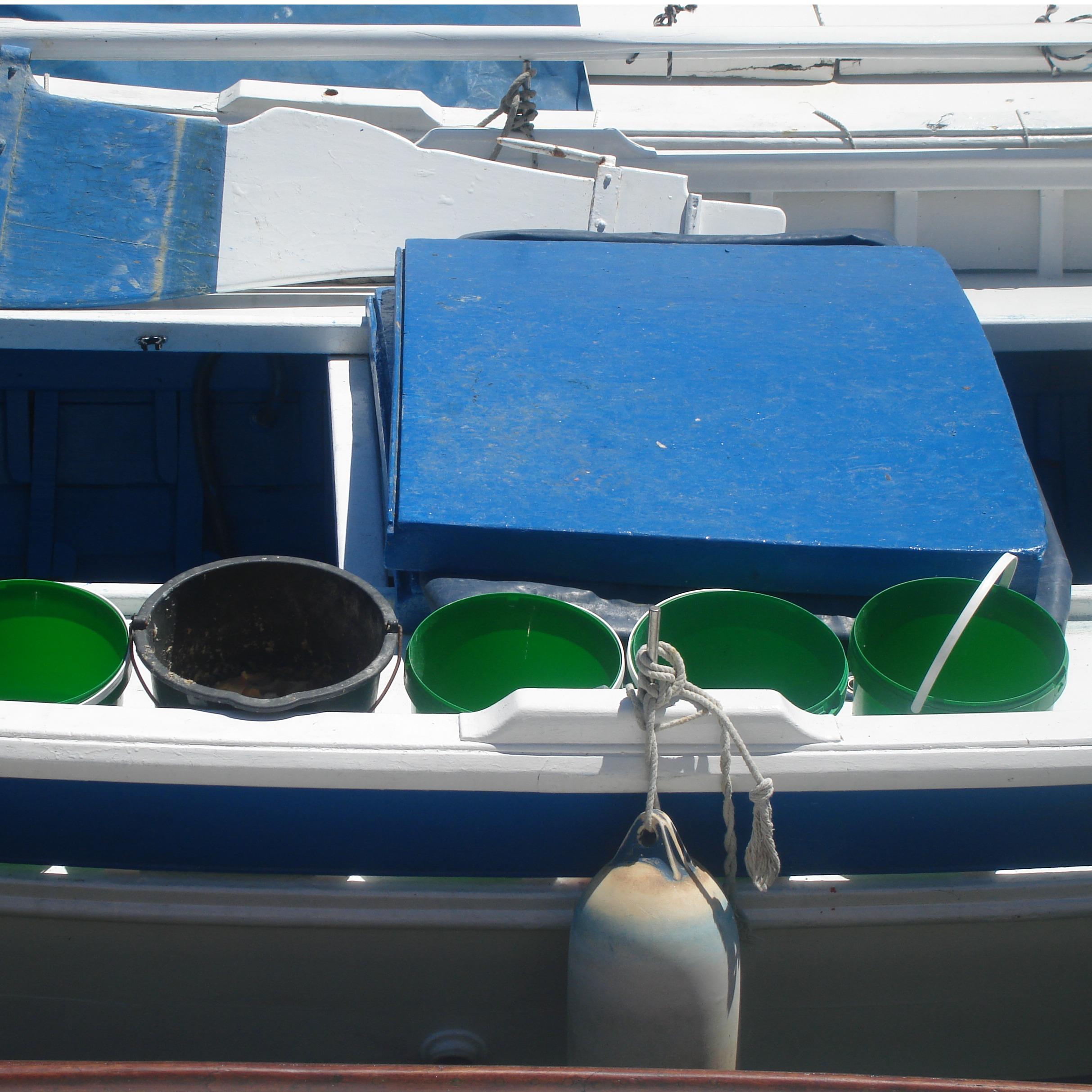 Lewis Fine Art Photography LLC Logo