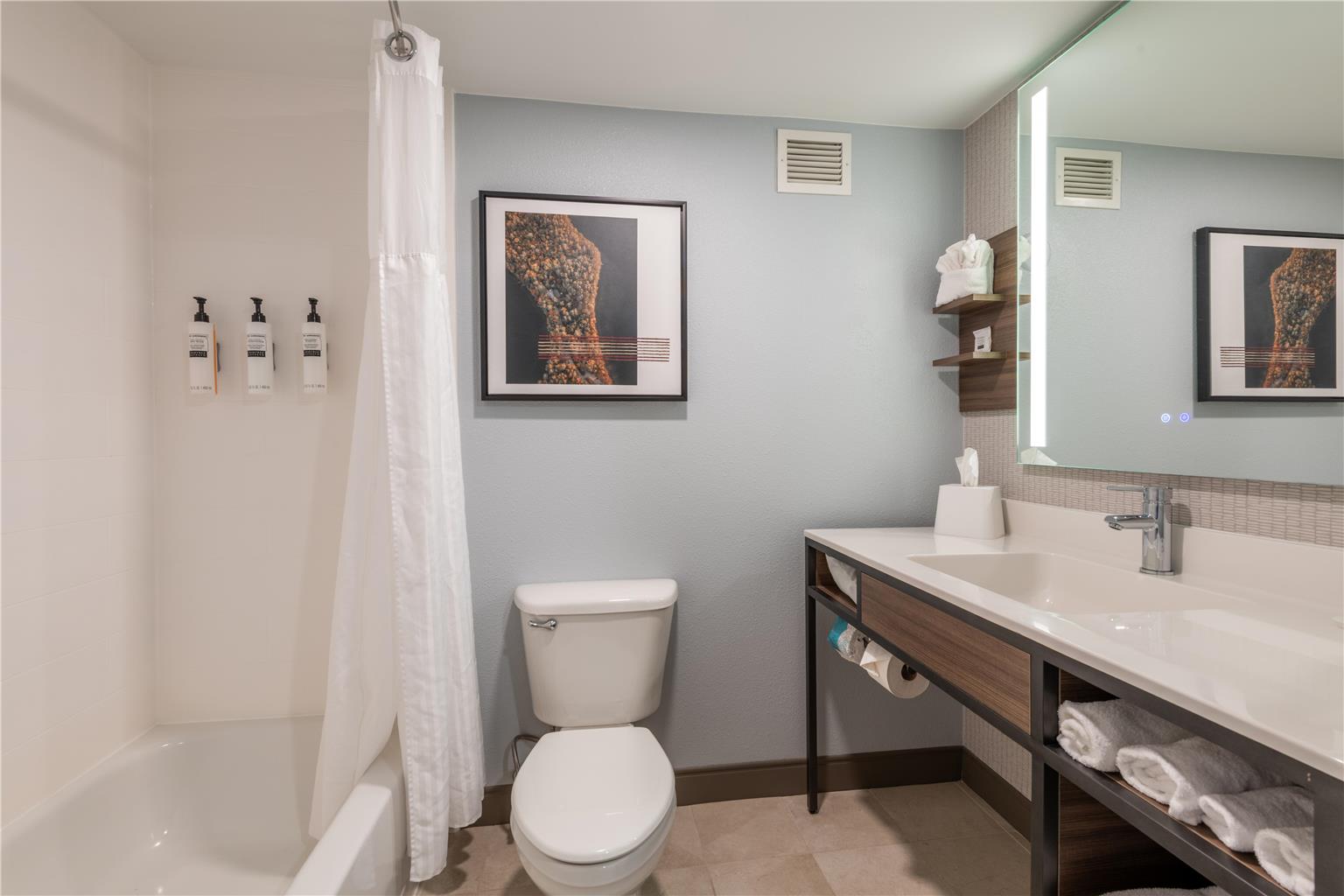 Hilton Garden Inn Auburn Riverwatch Image