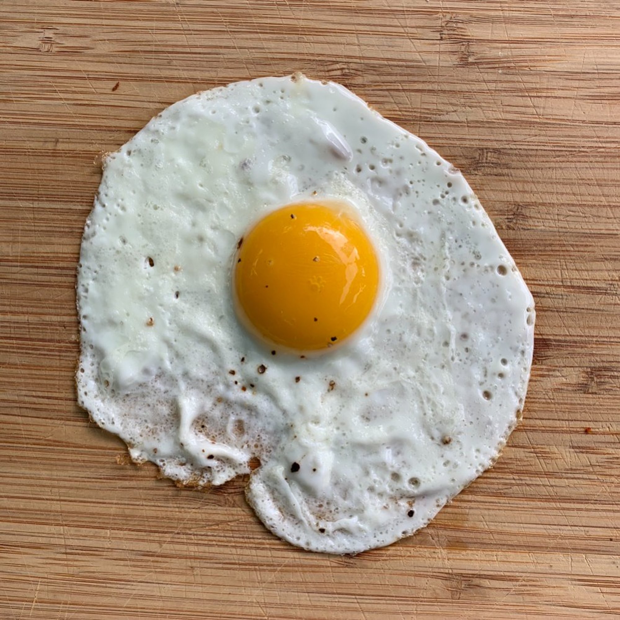 Egg