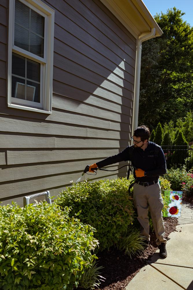 Pest & Termite Consultants Image