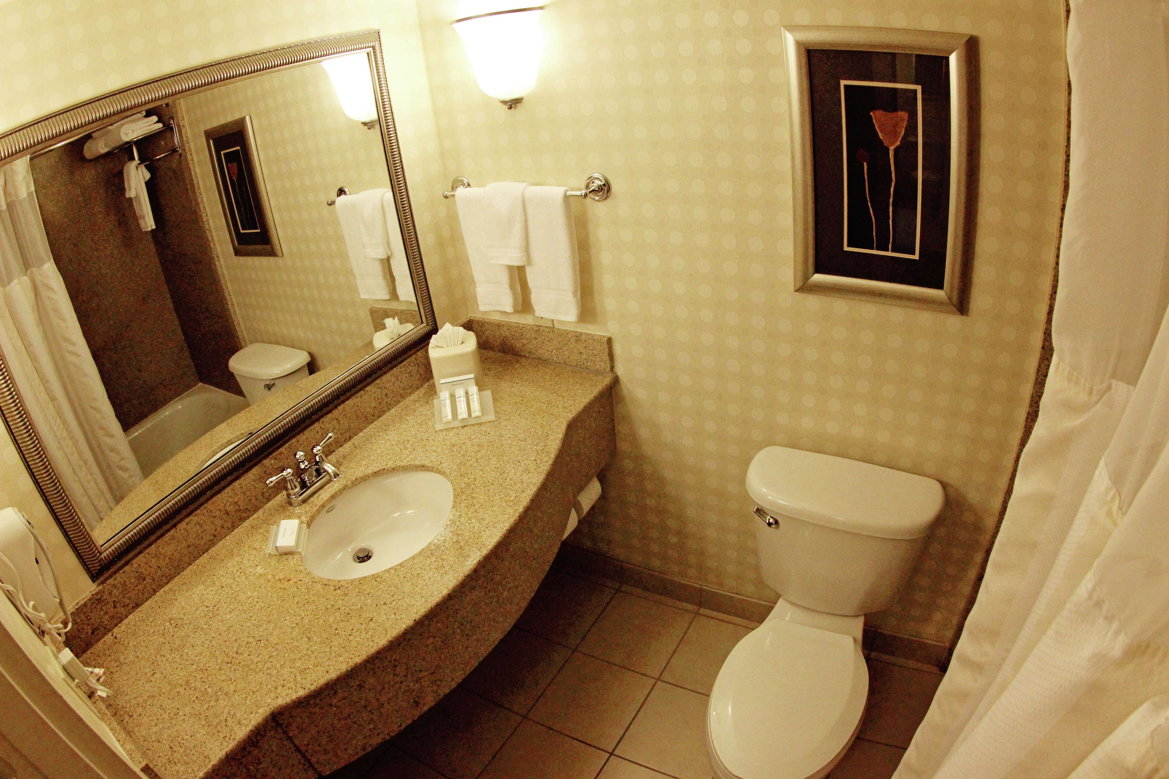 Hilton Garden Inn Jacksonville Orange Park Photo