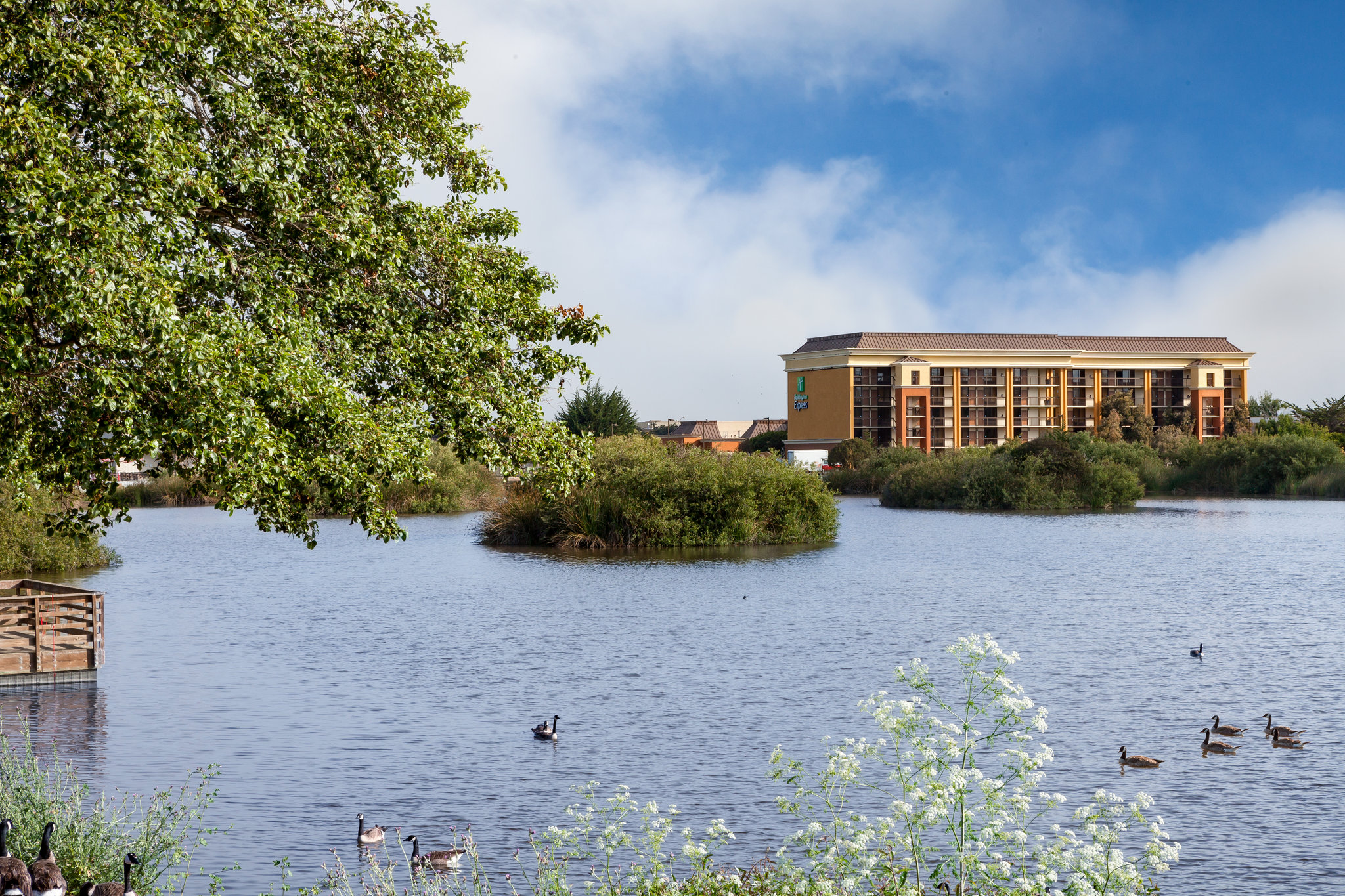 Holiday Inn Express at Monterey Bay by IHG Image