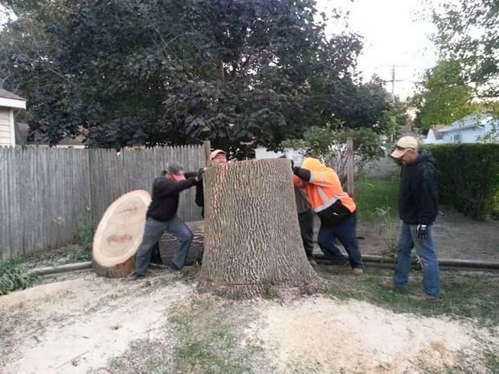 New Beginning Tree Service Company Image