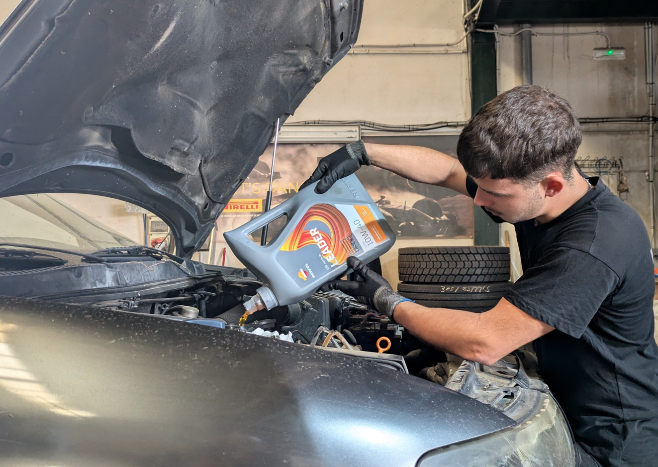 Galería en miniatura