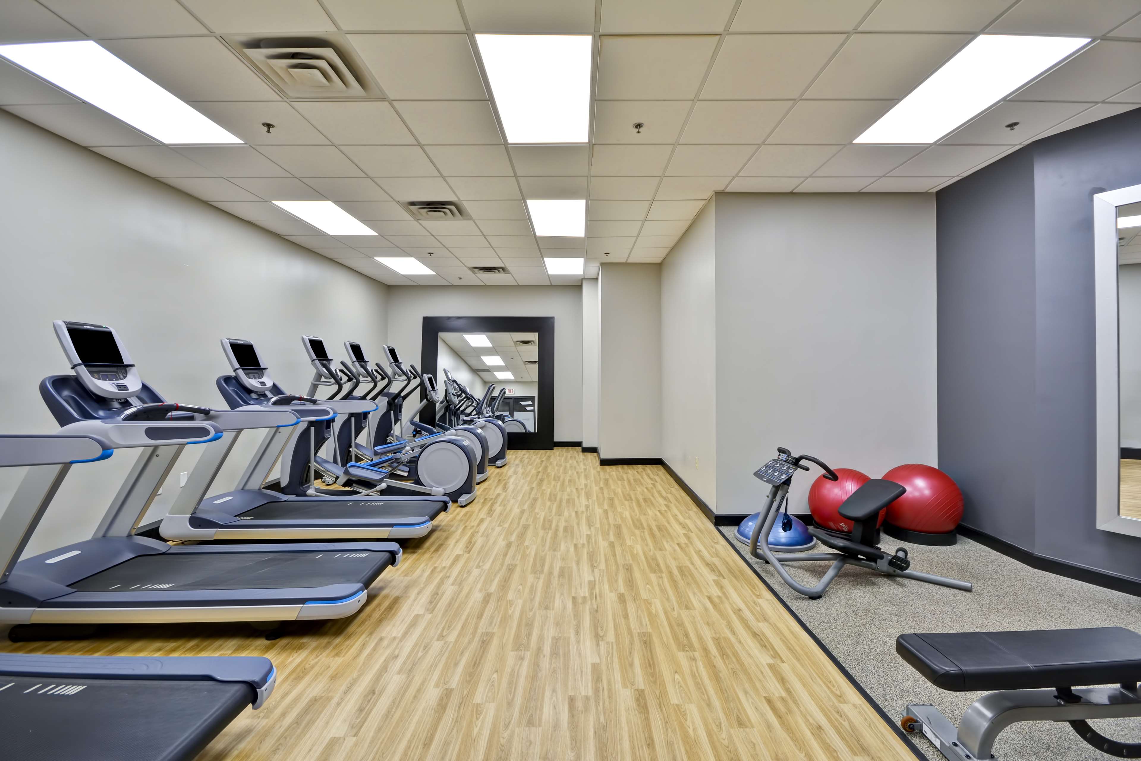 Health club  fitness center  gym