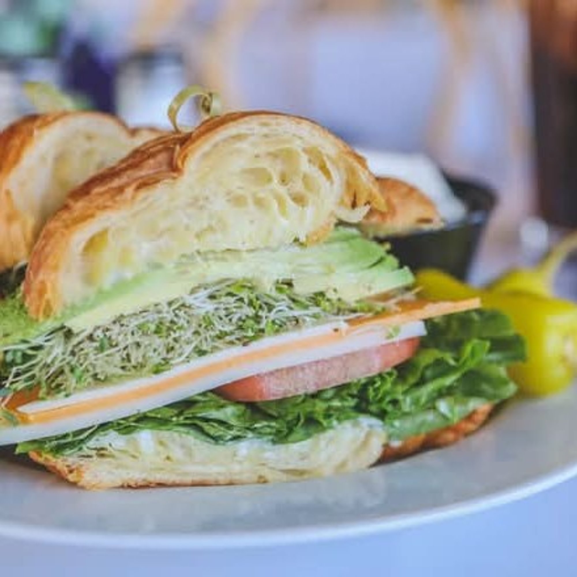 Vegetarian Sandwich