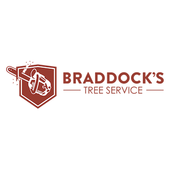 Braddock's Tree Service