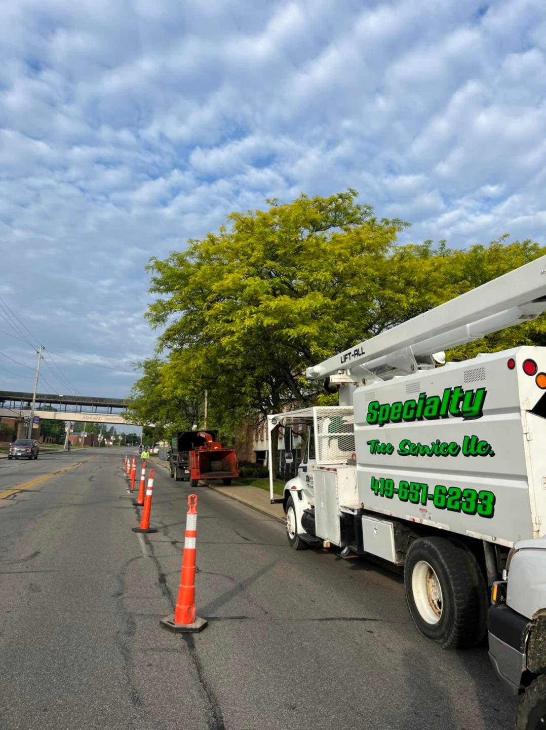 Specialty Tree & Bucket Service Image