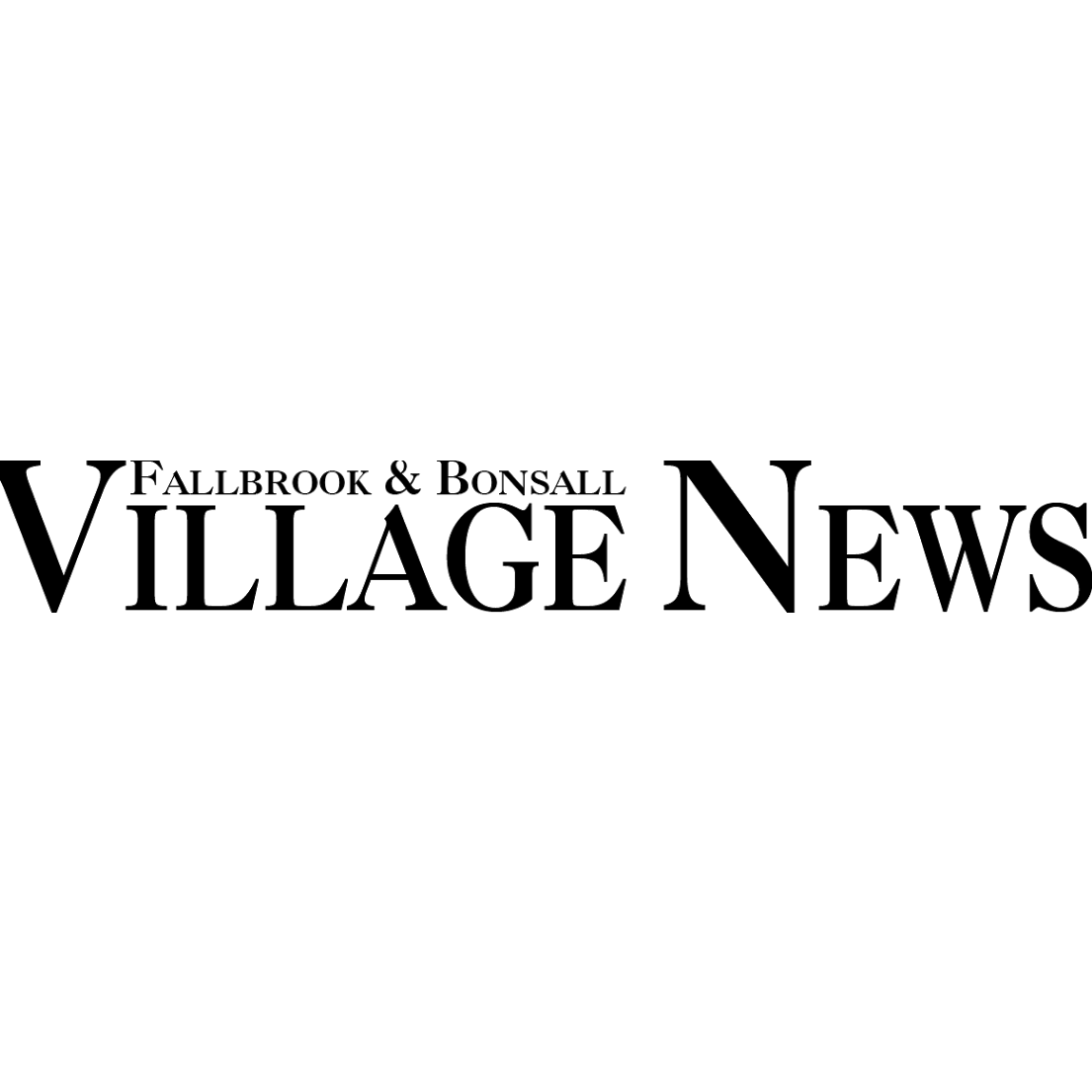 Village News Logo