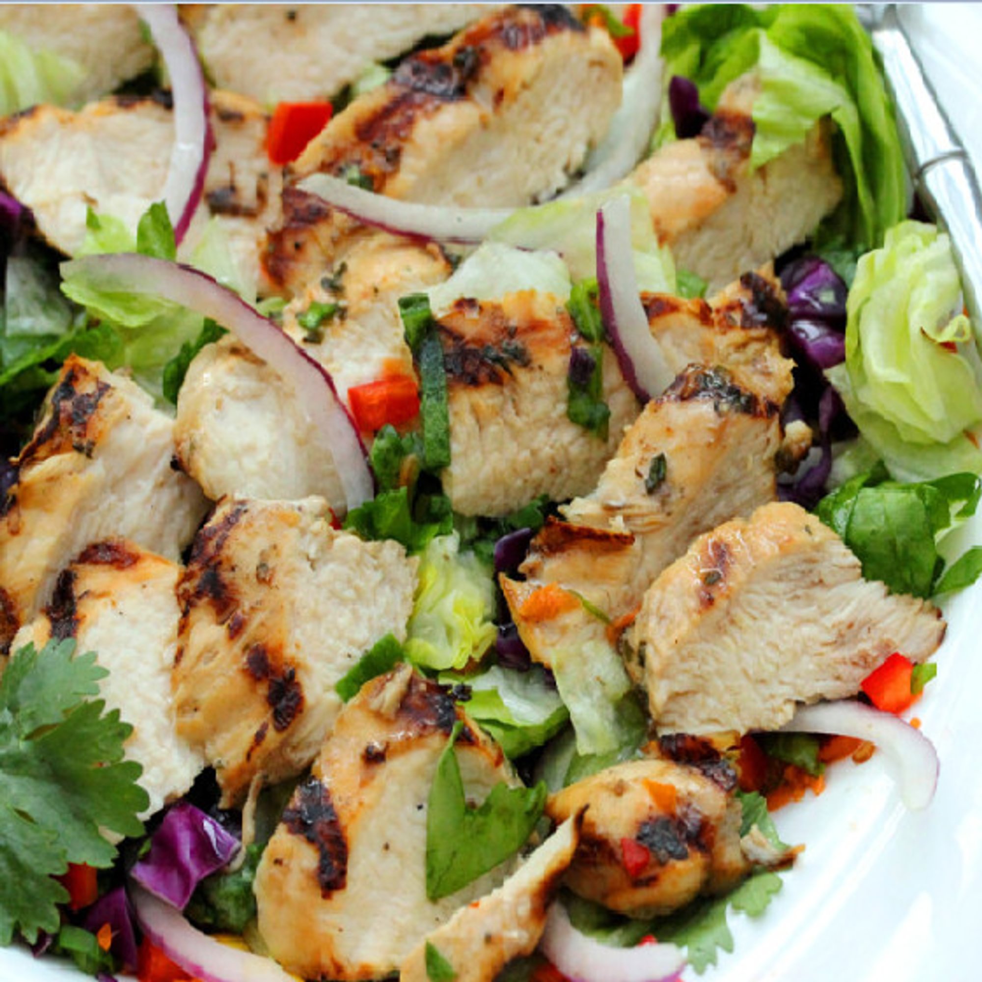 Grilled Chicken Salad
