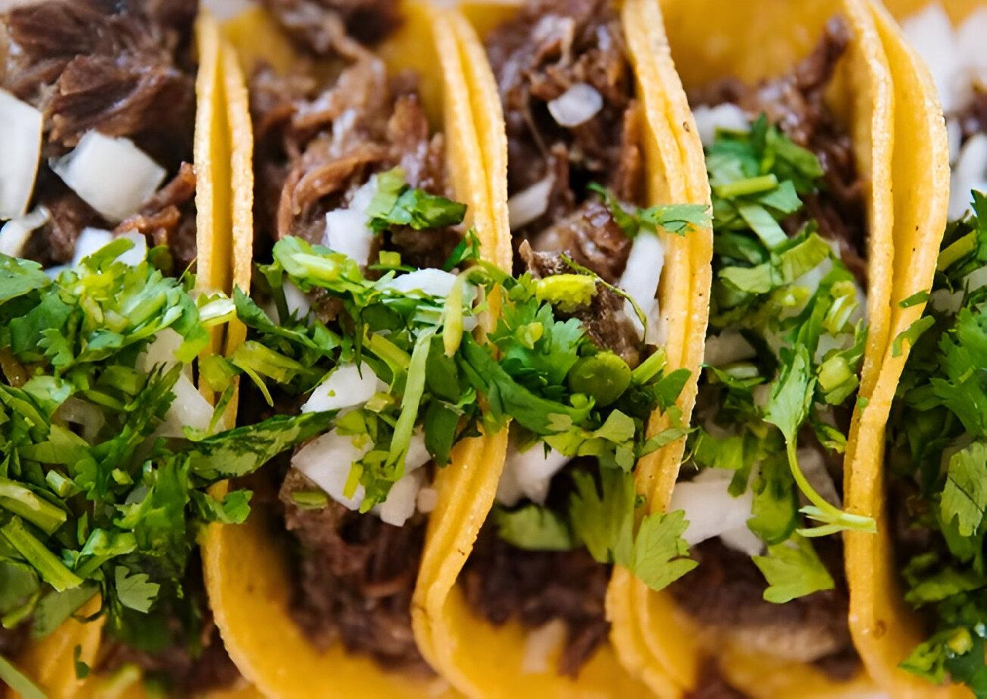 Carnita asado taco
