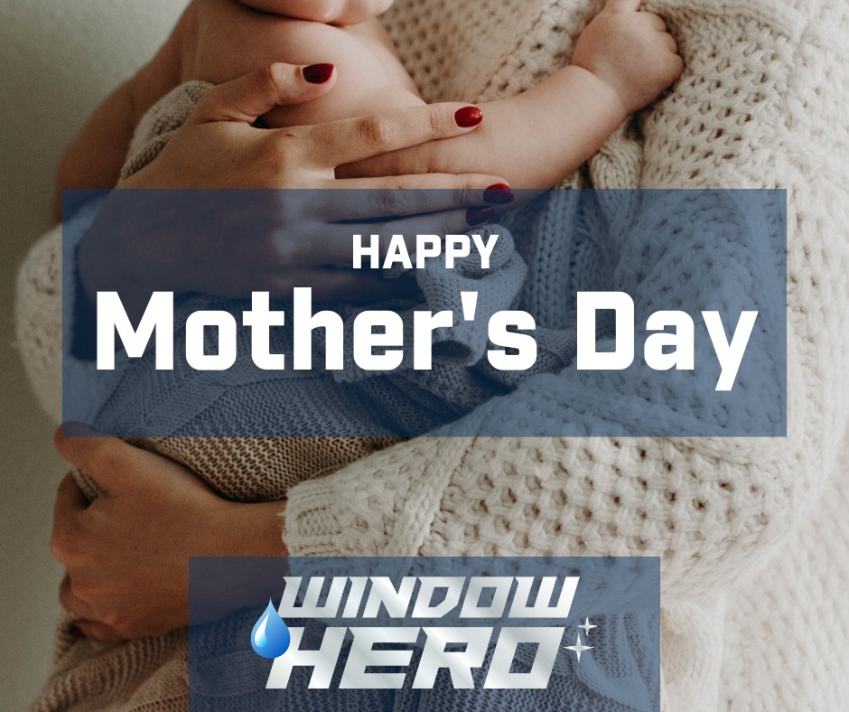 Window Hero Charlotte Image