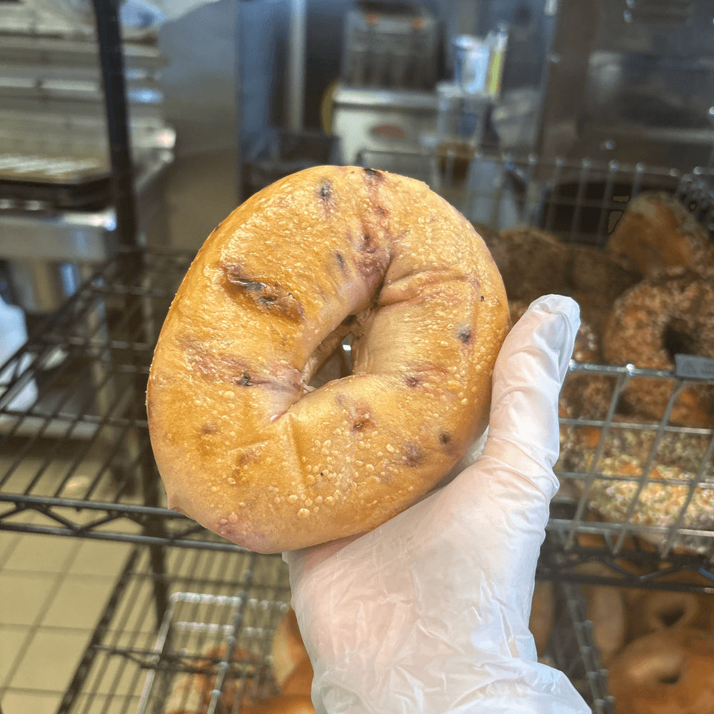 Blueberry Bagel