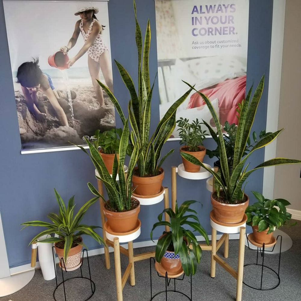 Nicole Lembo: Allstate Insurance Photo