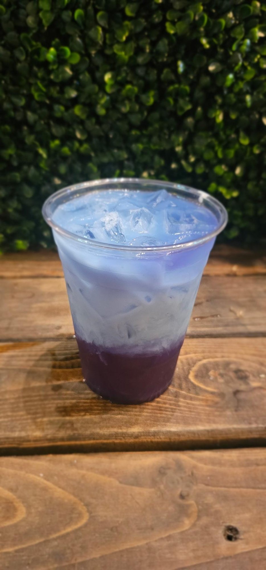 Iced Lavender Dream