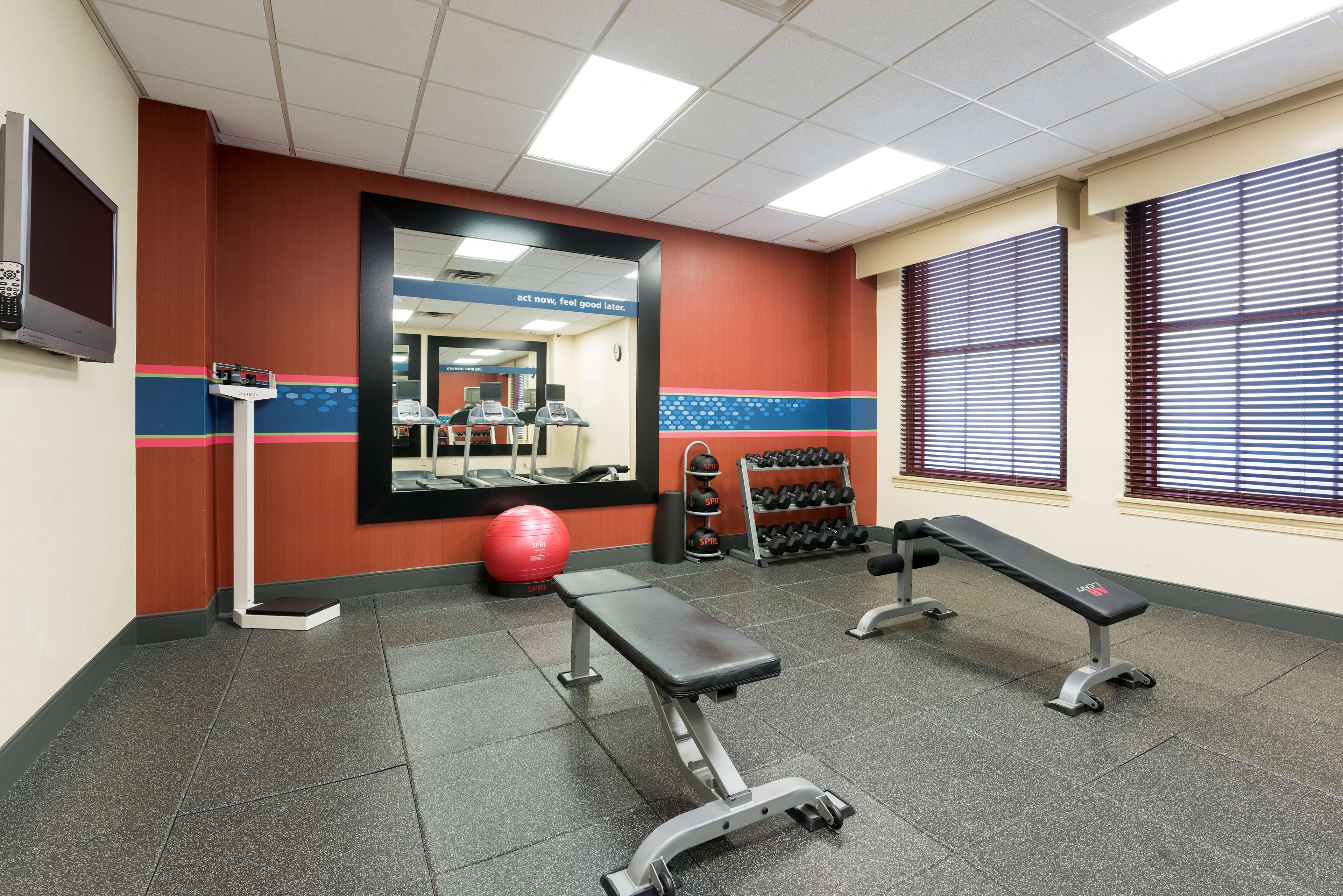 Health club  fitness center  gym