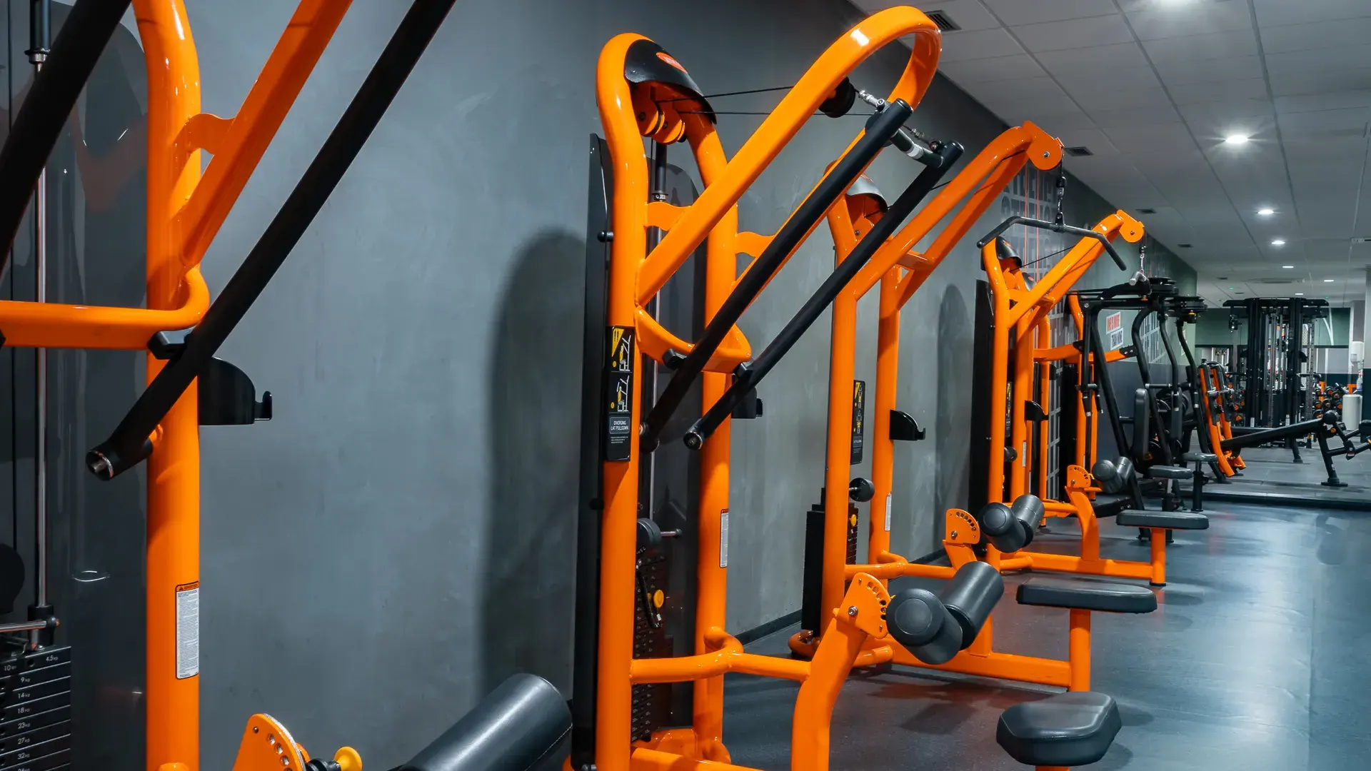 Galería de imágenes