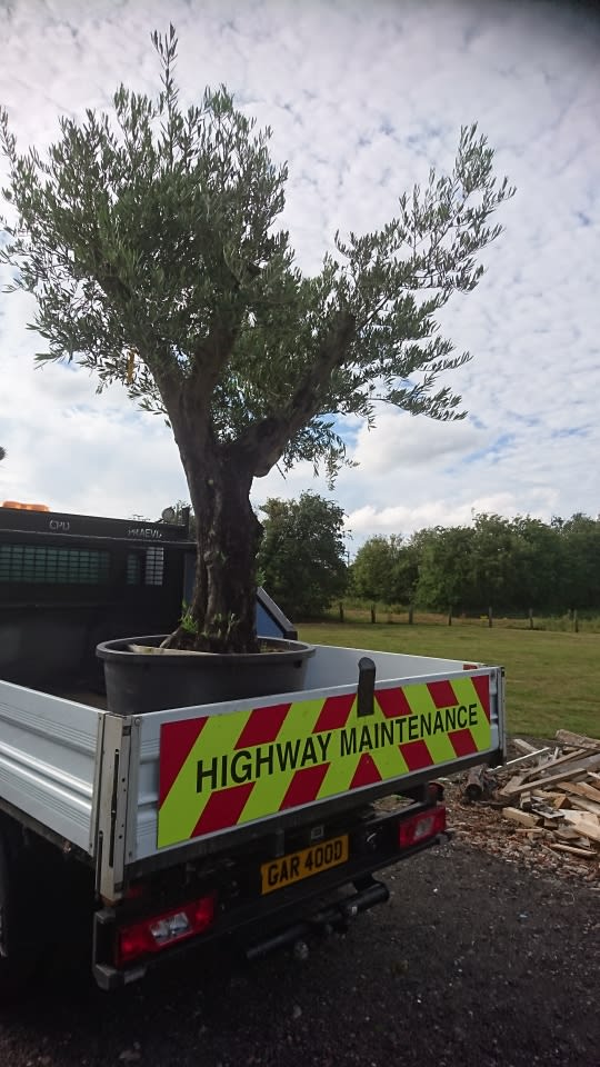 Images GJ Densham Ltd