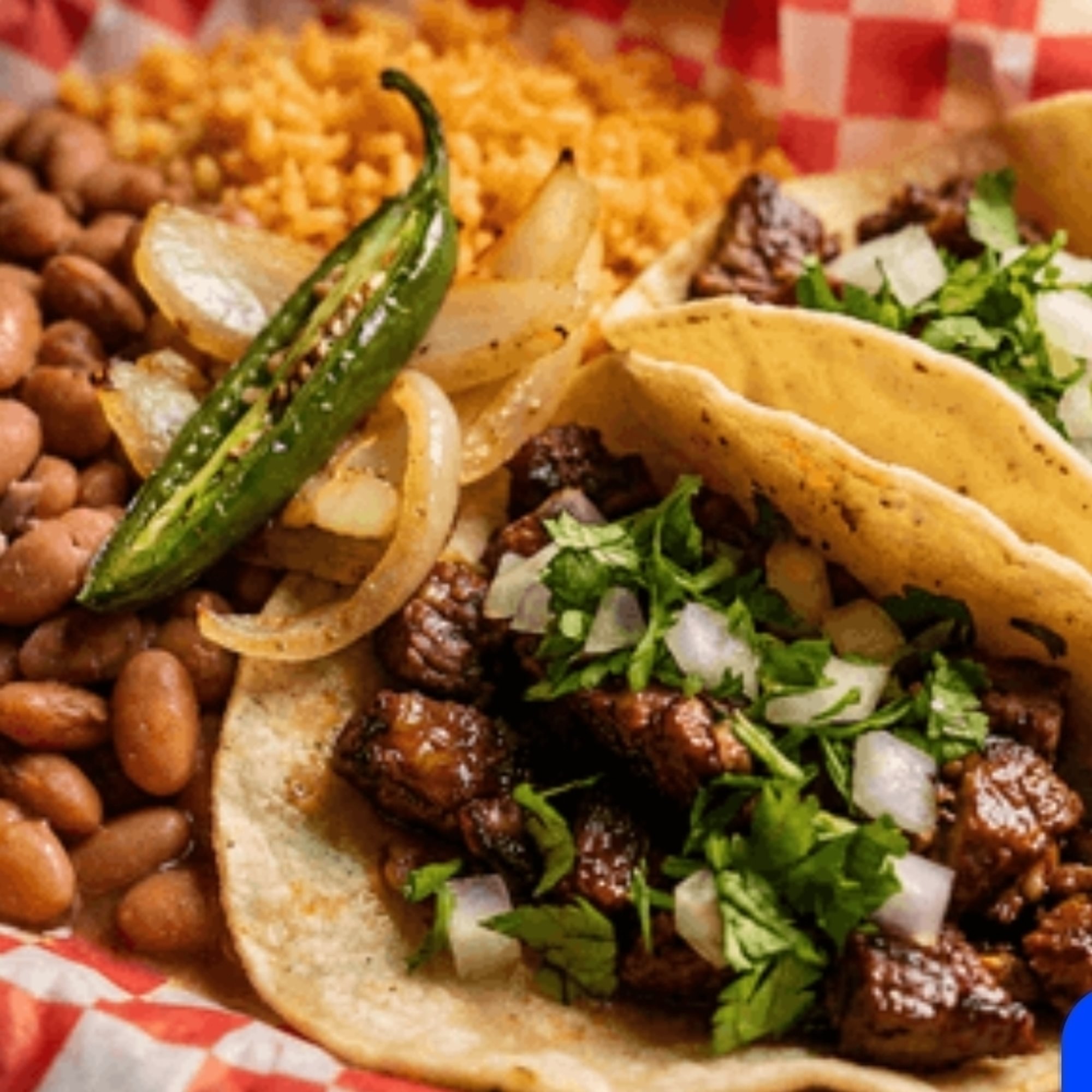 Taco Plate