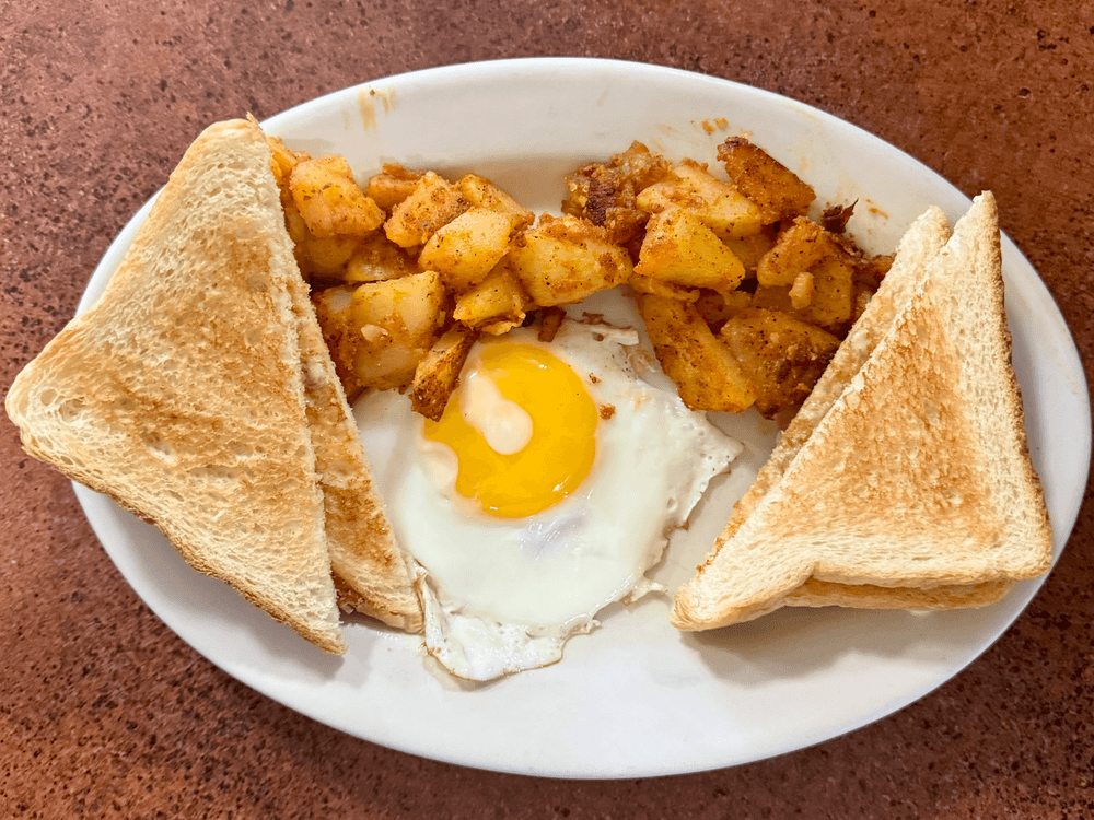 1 Egg Plate