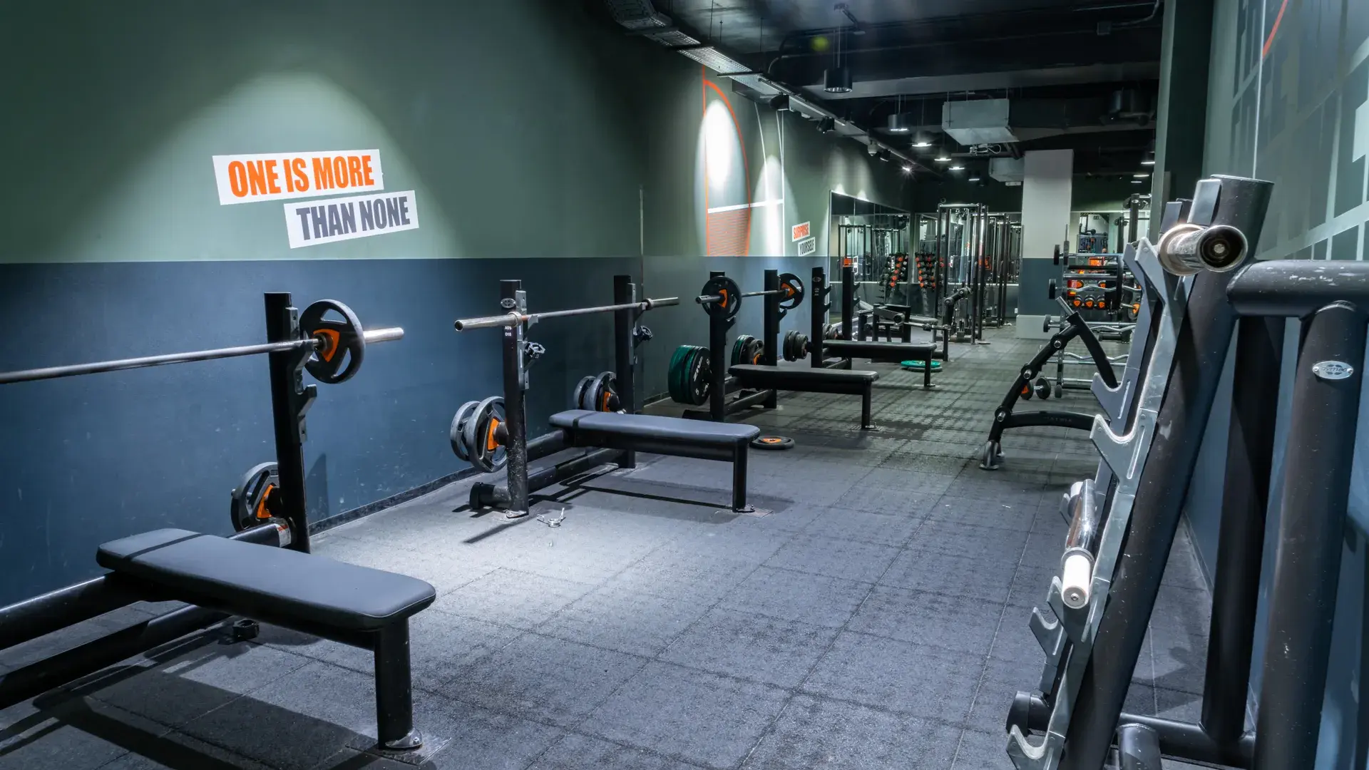 Galería de imágenes