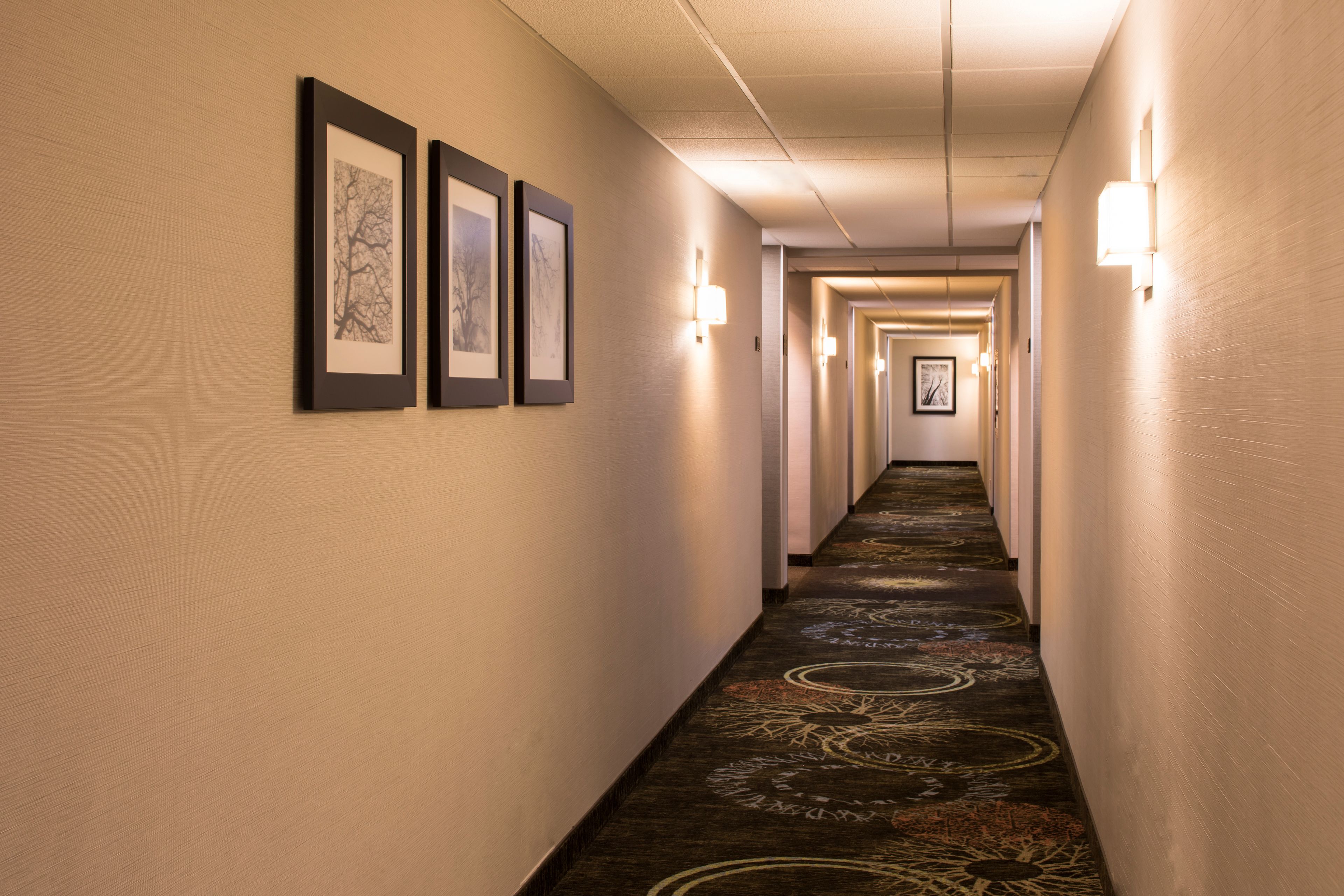 Images Staybridge Suites Monterrey - San Pedro
