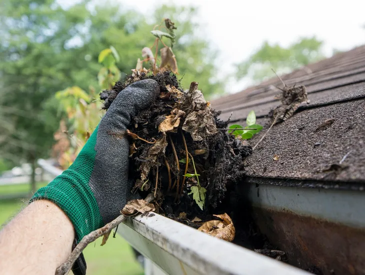 Gutter Cleaning