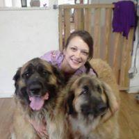 Images Mo's Mutts