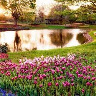 Long Island Behavioral Health Setauket Long Island Behavioral Health Setauket