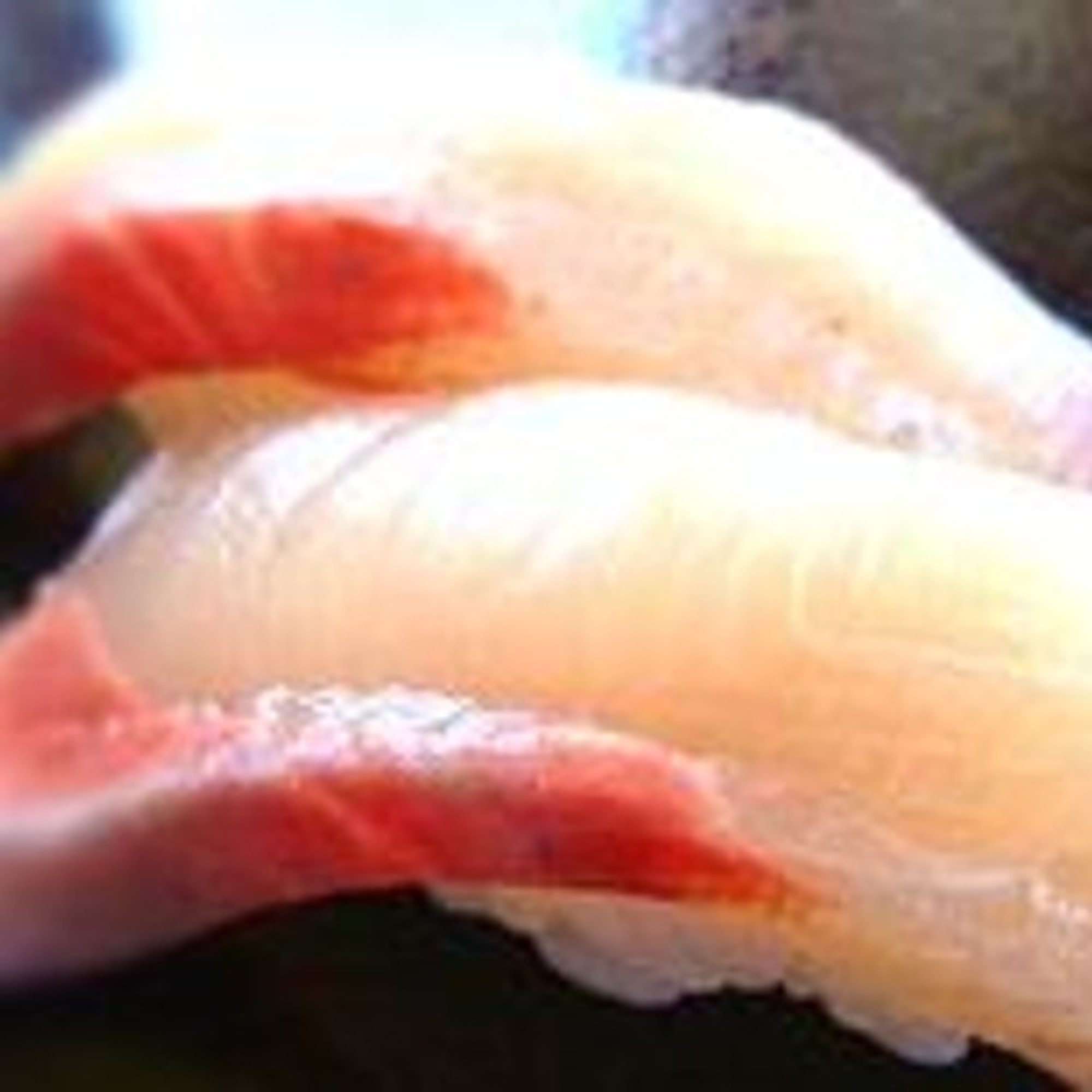 Yellowtail Nigiri