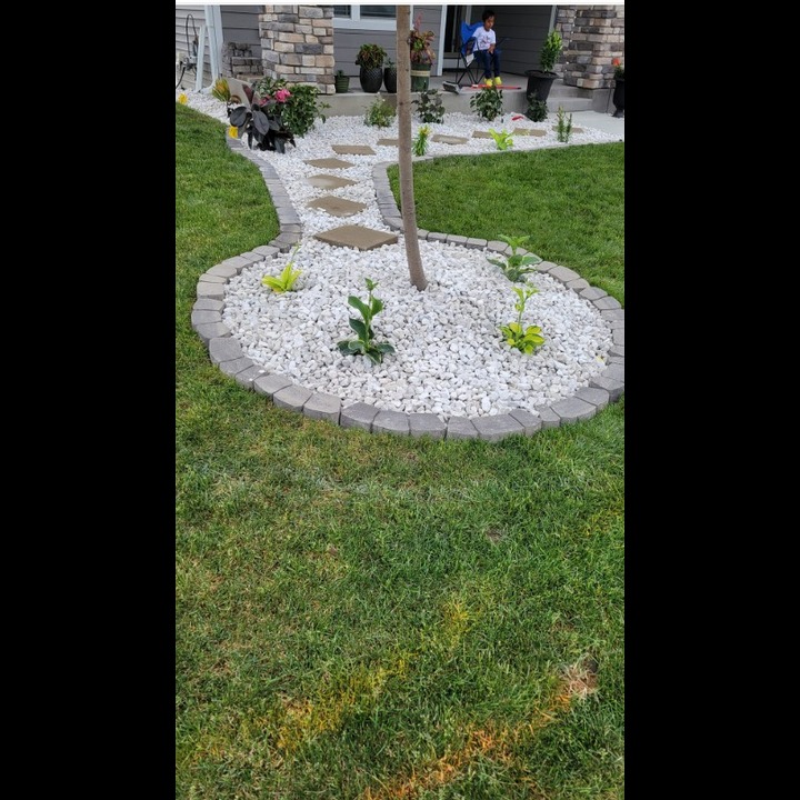 Diaz Brothers Lawn Care LLC Image