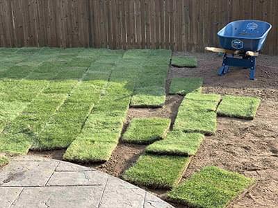 Zoysia Sod Photo