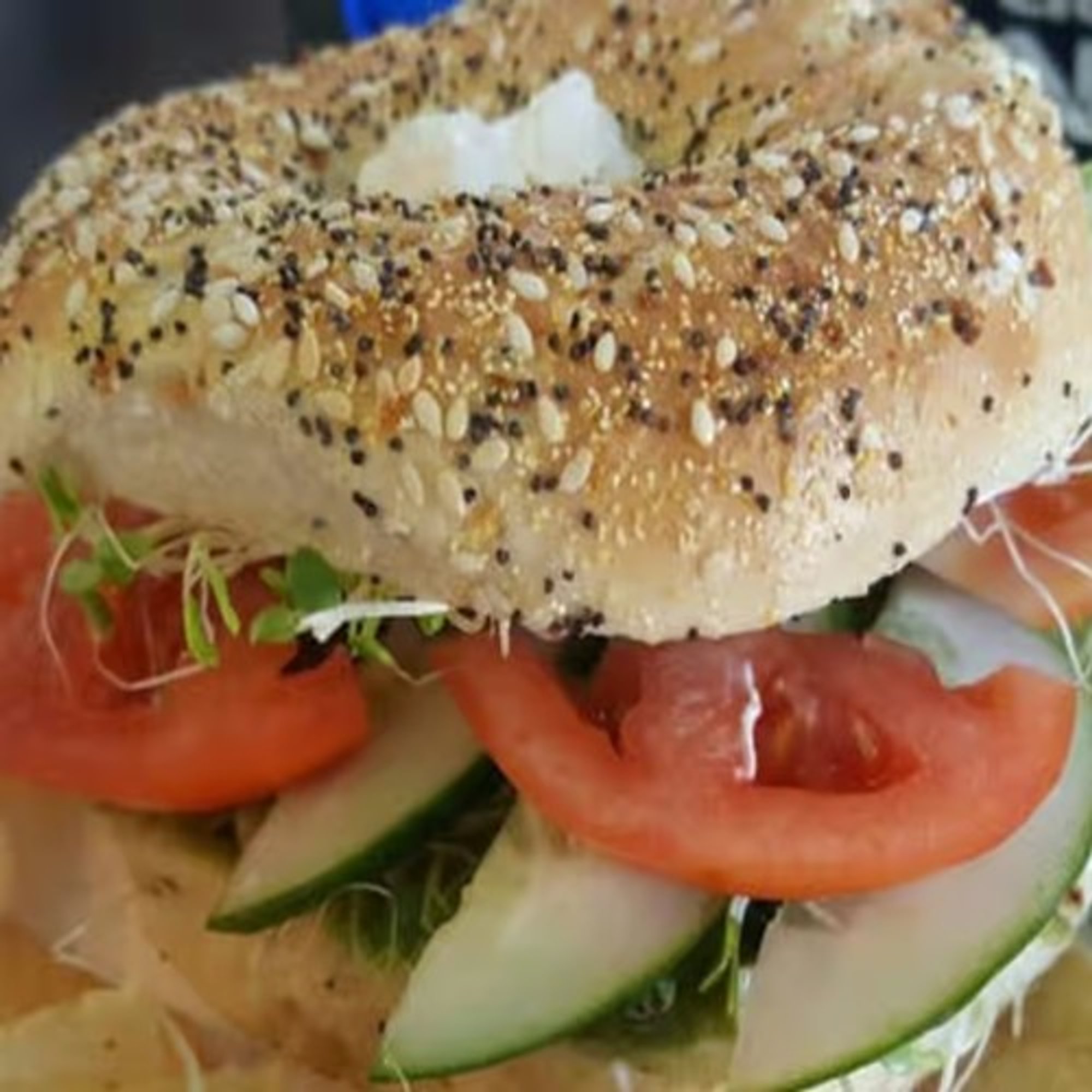 Sprout Bagel